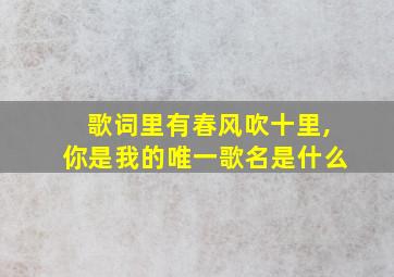 歌词里有春风吹十里,你是我的唯一歌名是什么