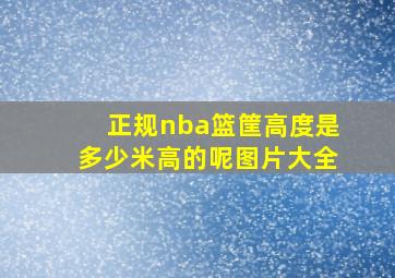 正规nba篮筐高度是多少米高的呢图片大全