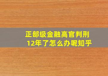 正部级金融高官判刑12年了怎么办呢知乎