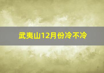 武夷山12月份冷不冷