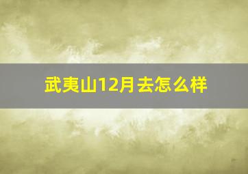 武夷山12月去怎么样