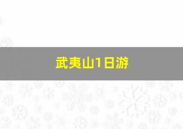 武夷山1日游