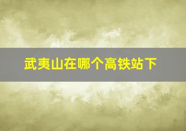 武夷山在哪个高铁站下