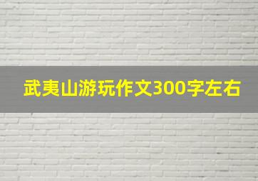 武夷山游玩作文300字左右