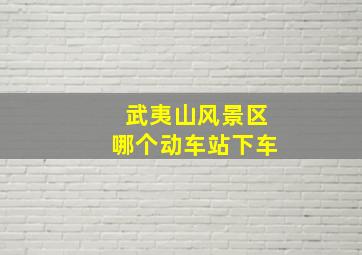 武夷山风景区哪个动车站下车