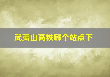 武夷山高铁哪个站点下