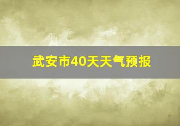 武安市40天天气预报