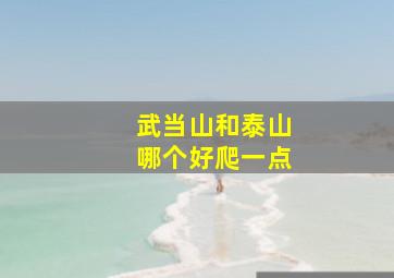 武当山和泰山哪个好爬一点