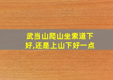 武当山爬山坐索道下好,还是上山下好一点