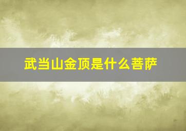 武当山金顶是什么菩萨