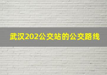 武汉202公交站的公交路线