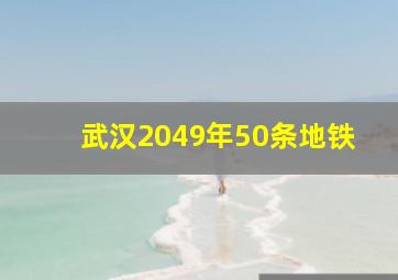 武汉2049年50条地铁