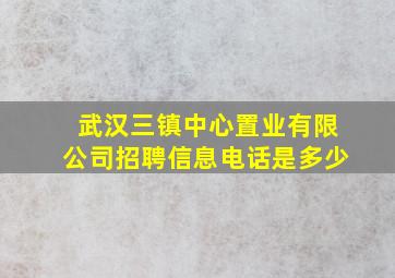 武汉三镇中心置业有限公司招聘信息电话是多少