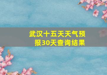 武汉十五天天气预报30天查询结果