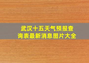 武汉十五天气预报查询表最新消息图片大全