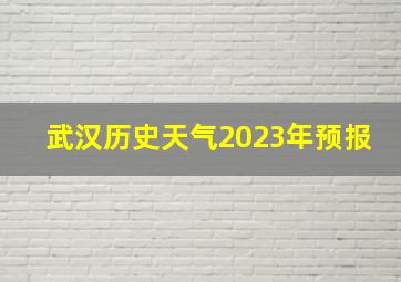 武汉历史天气2023年预报