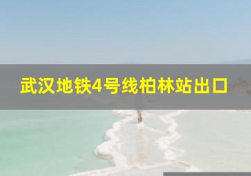 武汉地铁4号线柏林站出口