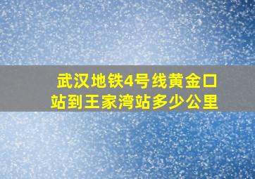 武汉地铁4号线黄金口站到王家湾站多少公里