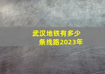 武汉地铁有多少条线路2023年