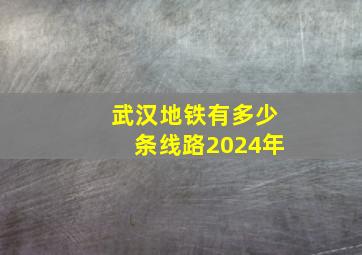 武汉地铁有多少条线路2024年