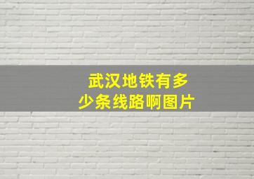 武汉地铁有多少条线路啊图片