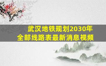 武汉地铁规划2030年全部线路表最新消息视频