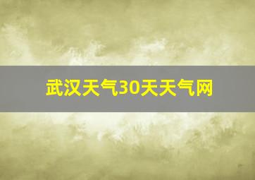 武汉天气30天天气网