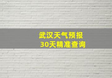 武汉天气预报30天精准查询