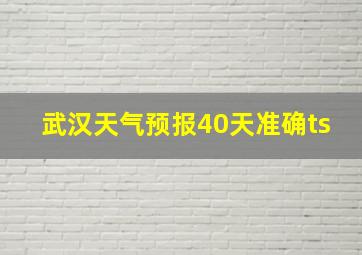 武汉天气预报40天准确ts