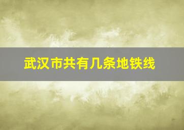 武汉市共有几条地铁线