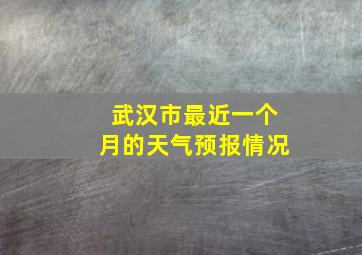 武汉市最近一个月的天气预报情况