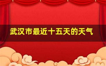 武汉市最近十五天的天气