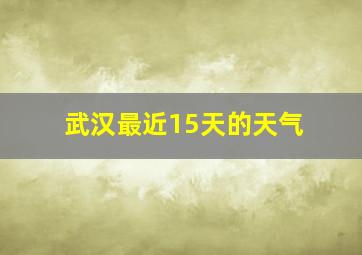 武汉最近15天的天气