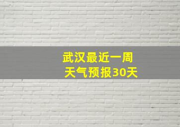 武汉最近一周天气预报30天