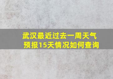 武汉最近过去一周天气预报15天情况如何查询