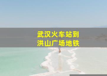 武汉火车站到洪山广场地铁