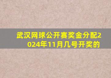 武汉网球公开赛奖金分配2024年11月几号开奖的