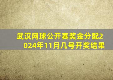 武汉网球公开赛奖金分配2024年11月几号开奖结果