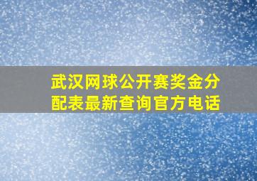 武汉网球公开赛奖金分配表最新查询官方电话