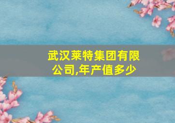 武汉莱特集团有限公司,年产值多少