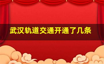 武汉轨道交通开通了几条