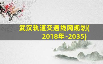 武汉轨道交通线网规划(2018年-2035)