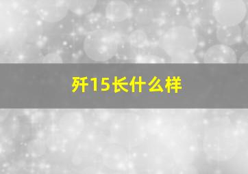 歼15长什么样