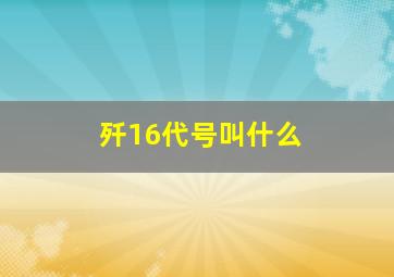 歼16代号叫什么