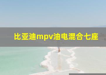 比亚迪mpv油电混合七座