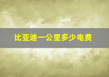 比亚迪一公里多少电费