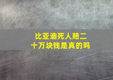 比亚迪死人赔二十万块钱是真的吗