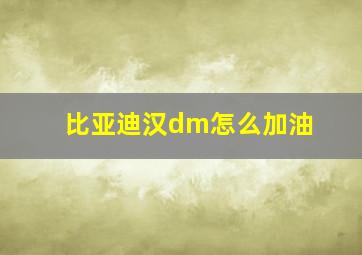 比亚迪汉dm怎么加油