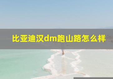 比亚迪汉dm跑山路怎么样