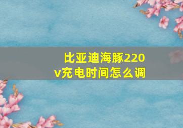 比亚迪海豚220v充电时间怎么调